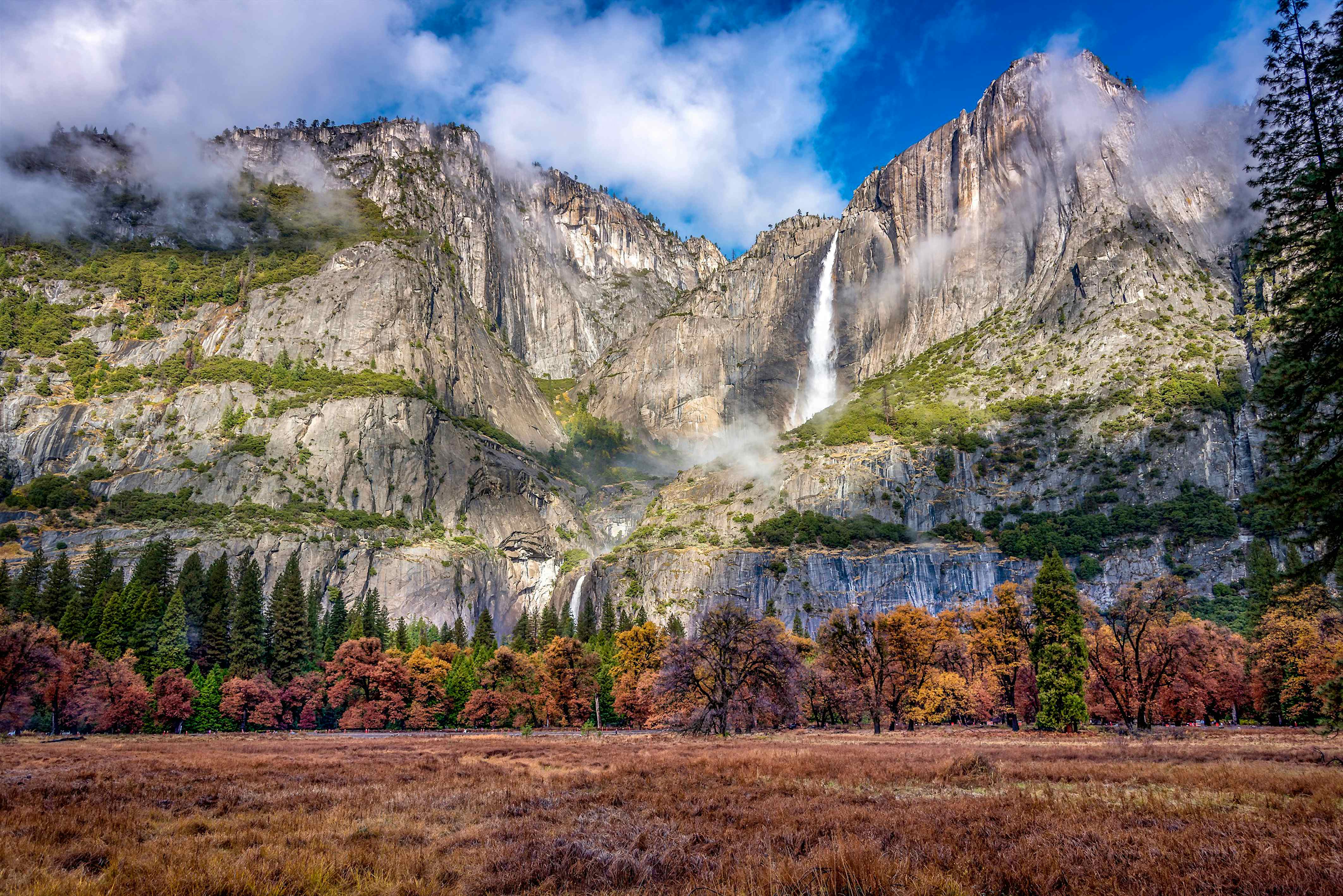 california national parks road trip 1 week